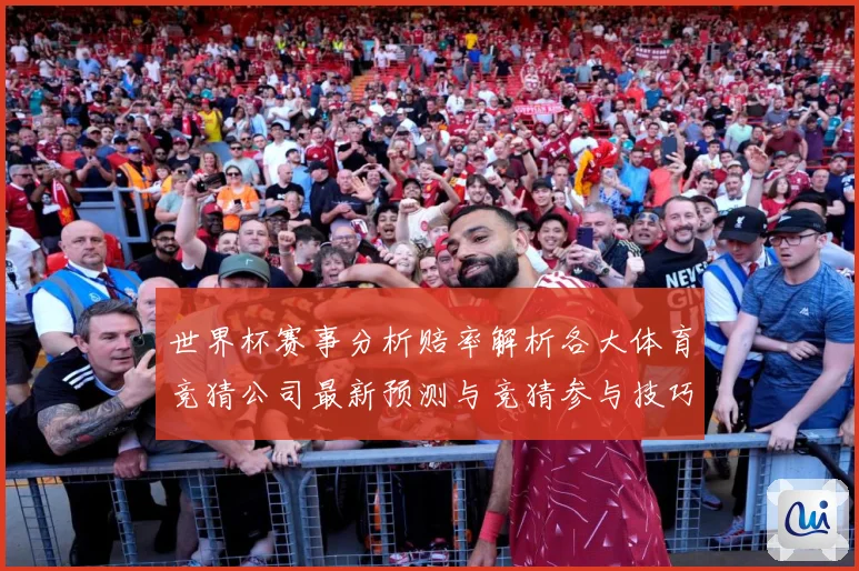 世界杯赛事分析赔率解析各大体育竞猜公司最新预测与竞猜参与技巧数据研判-深度解析