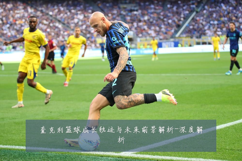 奎克利篮球成长轨迹与未来前景解析-深度解析